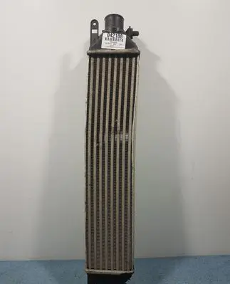 Fiat Bravo Electric car engine cooler 866455500