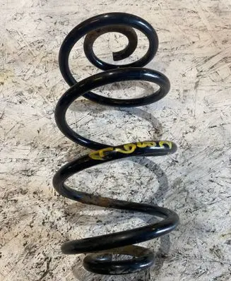 Rear coil spring