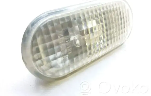 Front fender indicator light