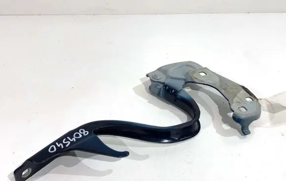 Fiat 500 Engine bonnet/hood hinges