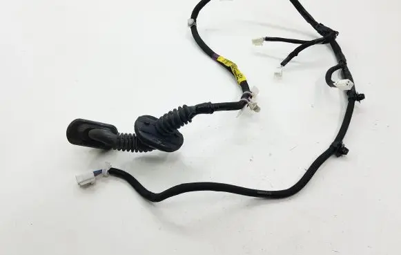Rear door wiring loom