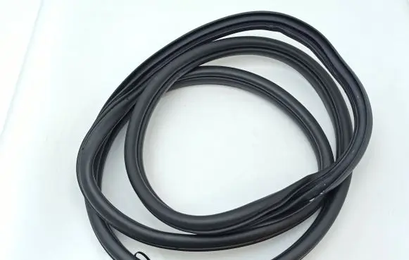 Hyundai Ioniq 5 Rear door rubber seal (on body) 