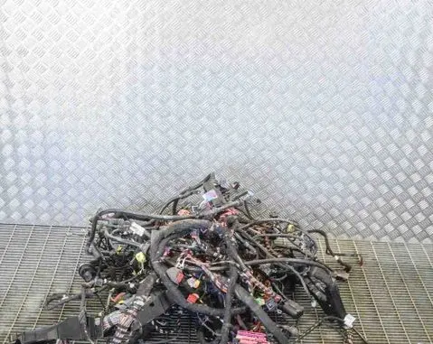 Audi Q5 SQ5 Other wiring loom 8R0971225G 8K1971566A