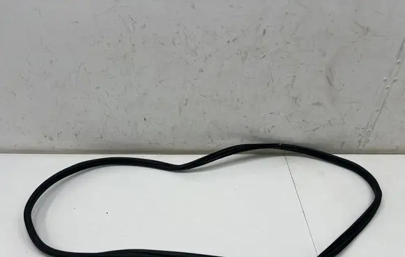 BMW 1 F40 Rear door rubber seal (on body) 7452335
