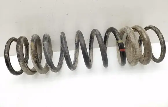 Ford Focus Rear coil spring