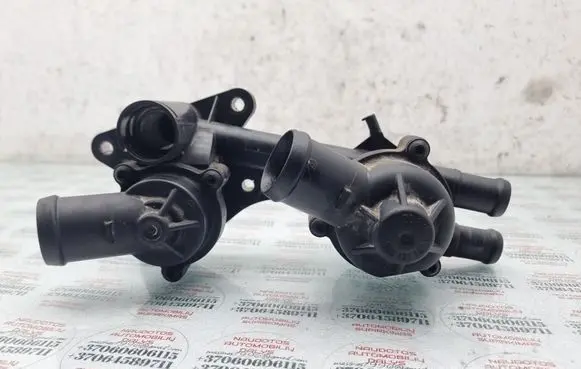 Thermostat/thermostat housing