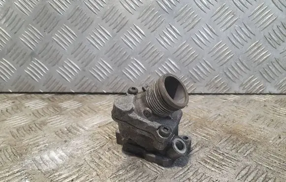 Thermostat/thermostat housing