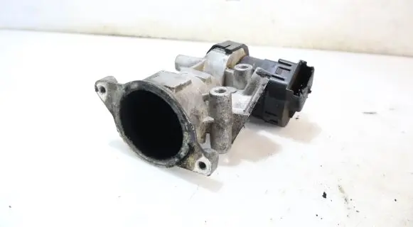 EGR valve