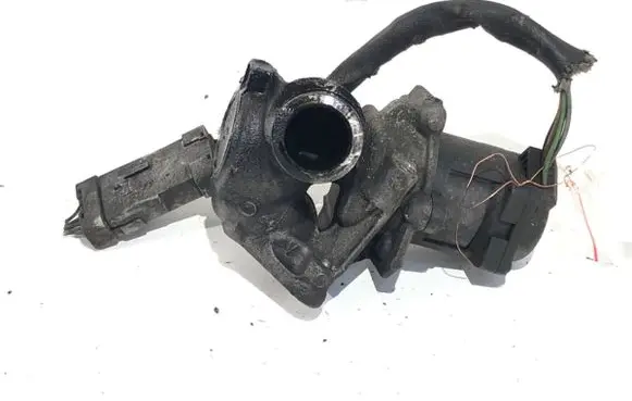 EGR valve