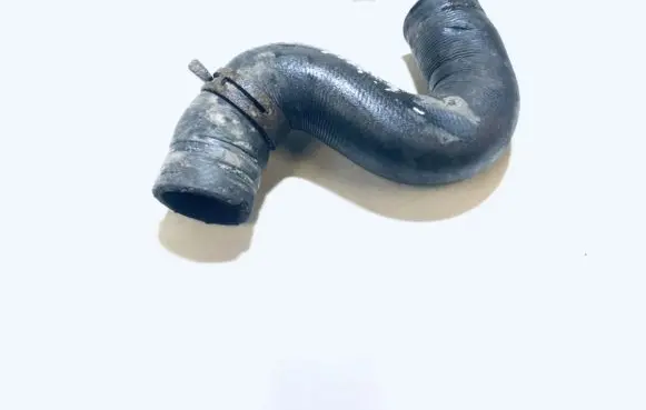 Ford Focus Engine coolant pipe/hose