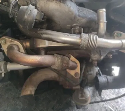 EGR valve cooler