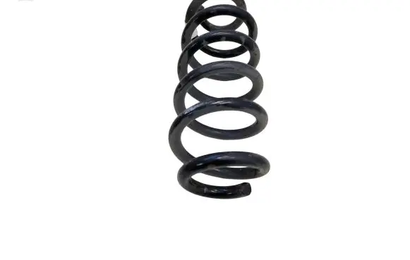 Ford Escape IV Rear coil spring LX615560 LX615560NND CX482