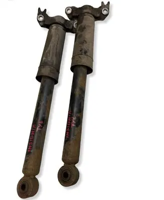 Opel Insignia A Rear shock absorber/damper 1213