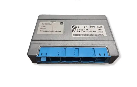 BMW 5 E39 Gearbox control unit/module 7518709 5WK33503AK 96025346