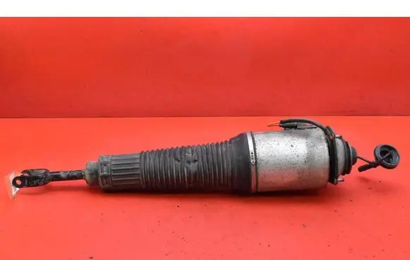 Audi A8 S8 D3 4E Front shock absorber/damper 4E0616039AG