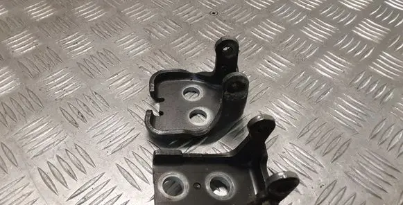 Peugeot 3008 I Rear door hinge set 