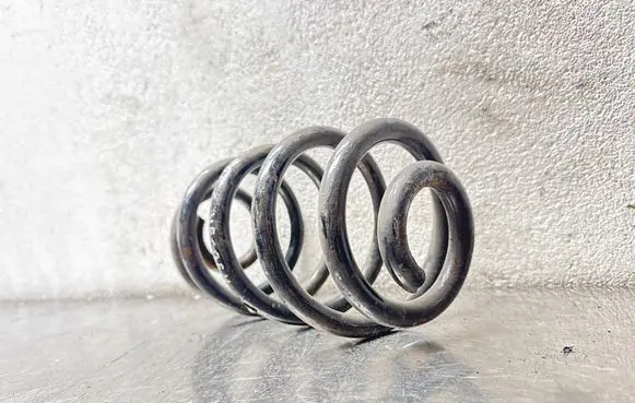 Opel Vectra C Rear coil spring PX62229