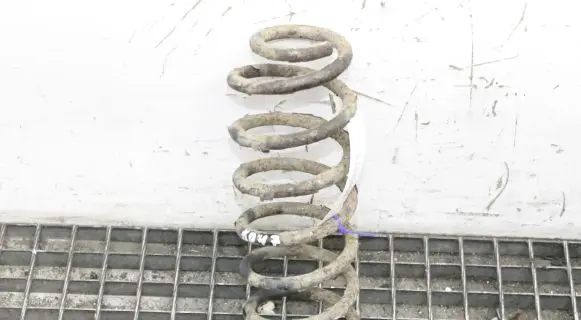 Ford Ecosport Rear coil spring