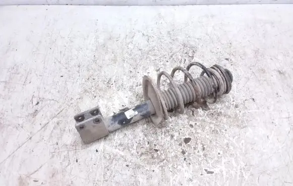 Peugeot 307 Front shock absorber with coil spring 