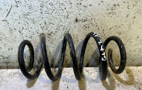 Rear coil spring