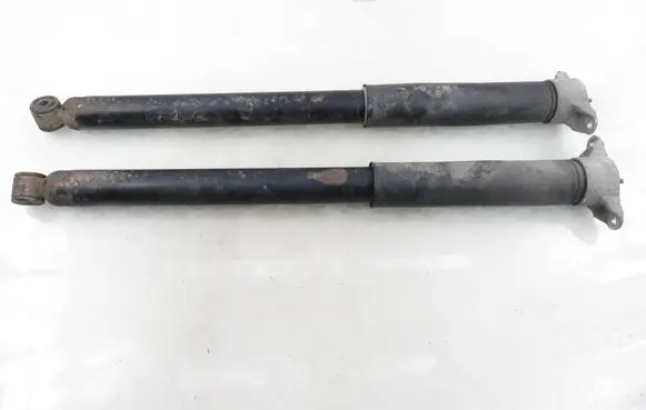 Ford Focus Rear shock absorber/damper 