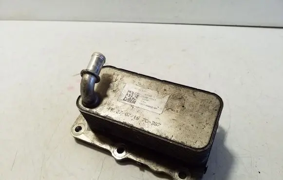 Oil filter mounting bracket