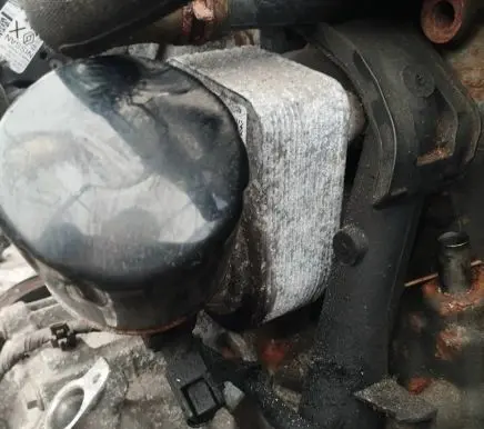 Nissan Qashqai Engine oil radiator 213059324r