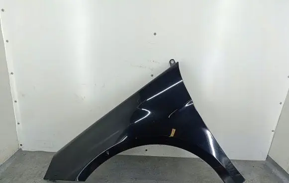 Mercedes-Benz B W245 Fender 191