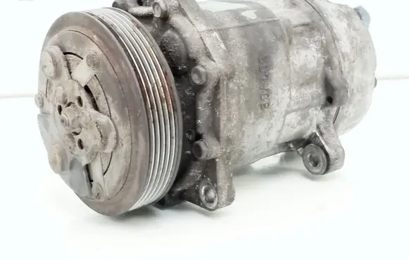 Volkswagen Transporter - Caravelle T4 Air conditioning (A/C) compressor (pump) 7D0820805H 1246 R134A