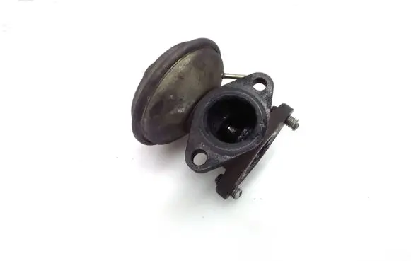 EGR valve