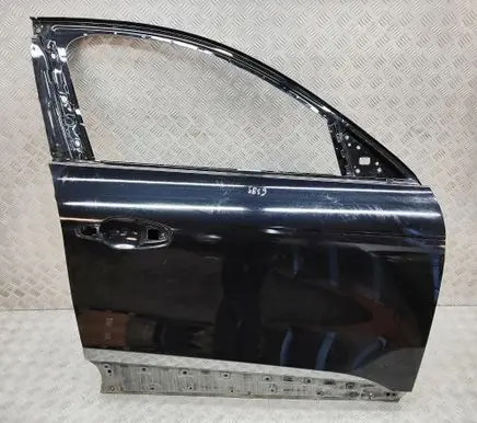 Renault Arkana Front door 801128665R