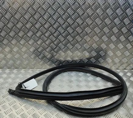 Tesla Model 3 Highland Rubber seal rear door 191098531A