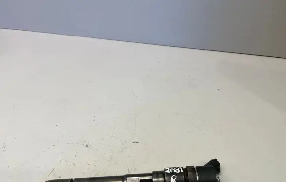 Hyundai Santa Fe Fuel injector 0445110254 3380027800