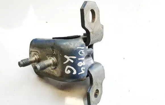 Rear door lower hinge