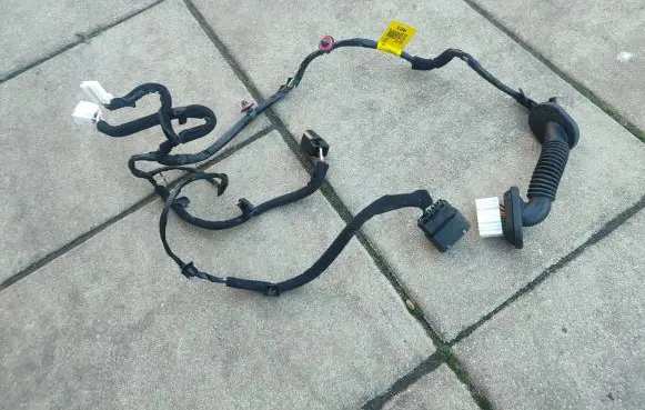 Rear door wiring loom