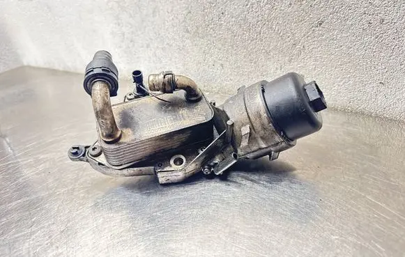 Opel Insignia A Engine oil radiator 00055565958