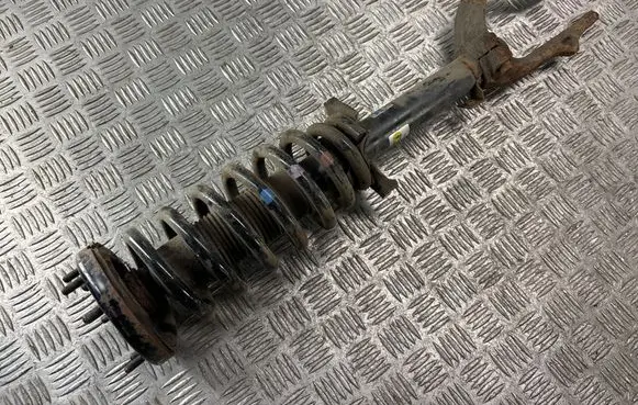 Honda Accord Front shock absorber with coil spring