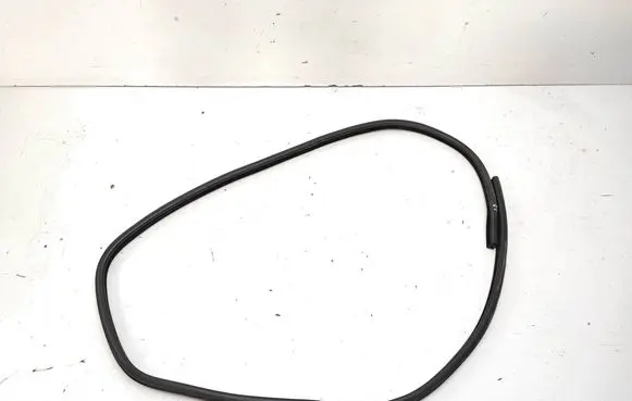 BMW 3 E90 E91 Front door rubber seal 