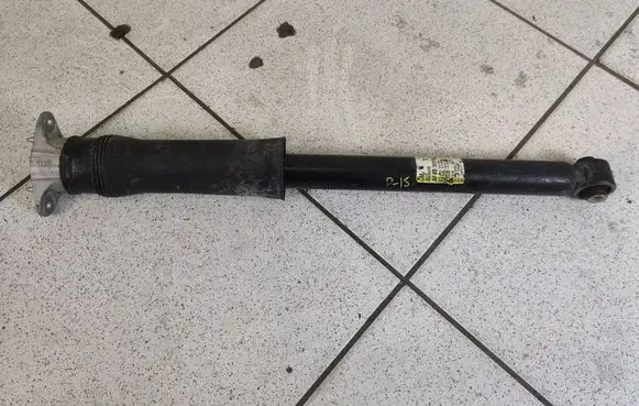 Chevrolet TrailBlazer Rear shock absorber/damper 
