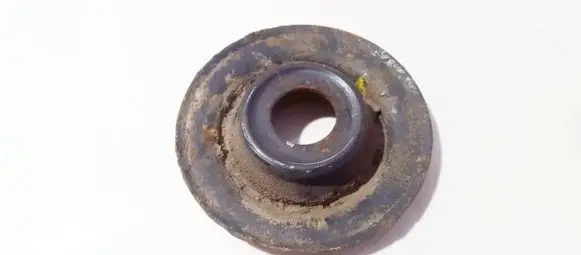 Coil spring mount