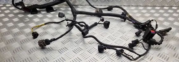Volkswagen Golf V Engine installation wiring loom 1K0971615BL