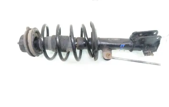 Fiat Bravo Front shock absorber with coil spring 50708894