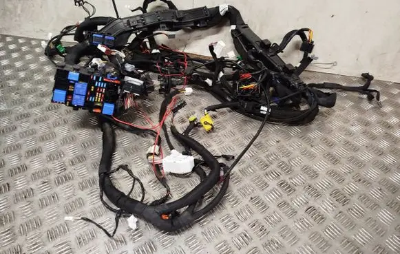 Renault Kangoo III Other wiring loom 282430902R 240362974R 242100011R