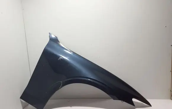Fender