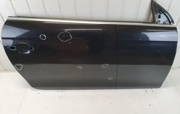 Volkswagen Eos Front door