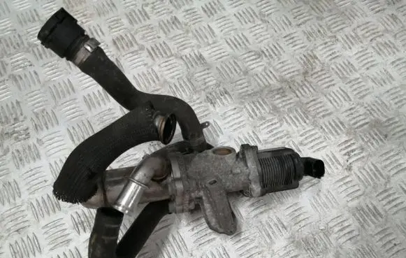 Fiat Qubo EGR valve 1100706212
