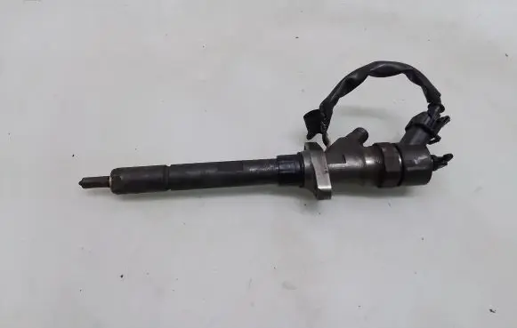 Peugeot 607 Fuel injector 0445110036
