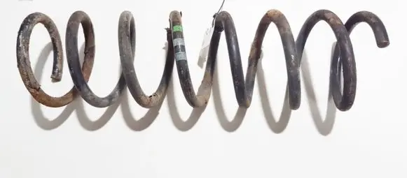 Ford Focus Rear coil spring