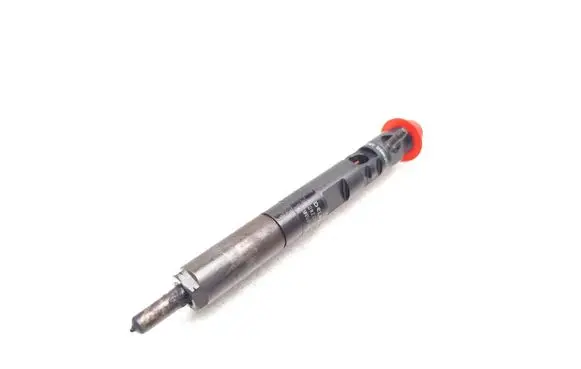 Nissan Note (E11) Fuel injector 166000897R 8200827965