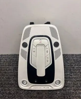 Audi e-tron Front seat light 4K0947135AE 00376480